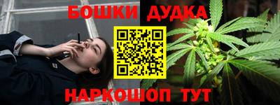 крисы Обь