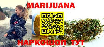 spice Новодвинск