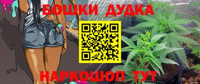 крисы Обь