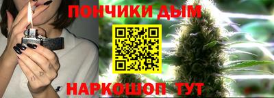 крисы Обь