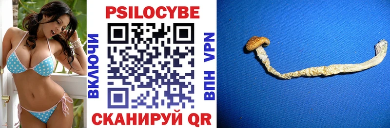 Галлюциногенные грибы прущие грибы  Усть-Джегута 