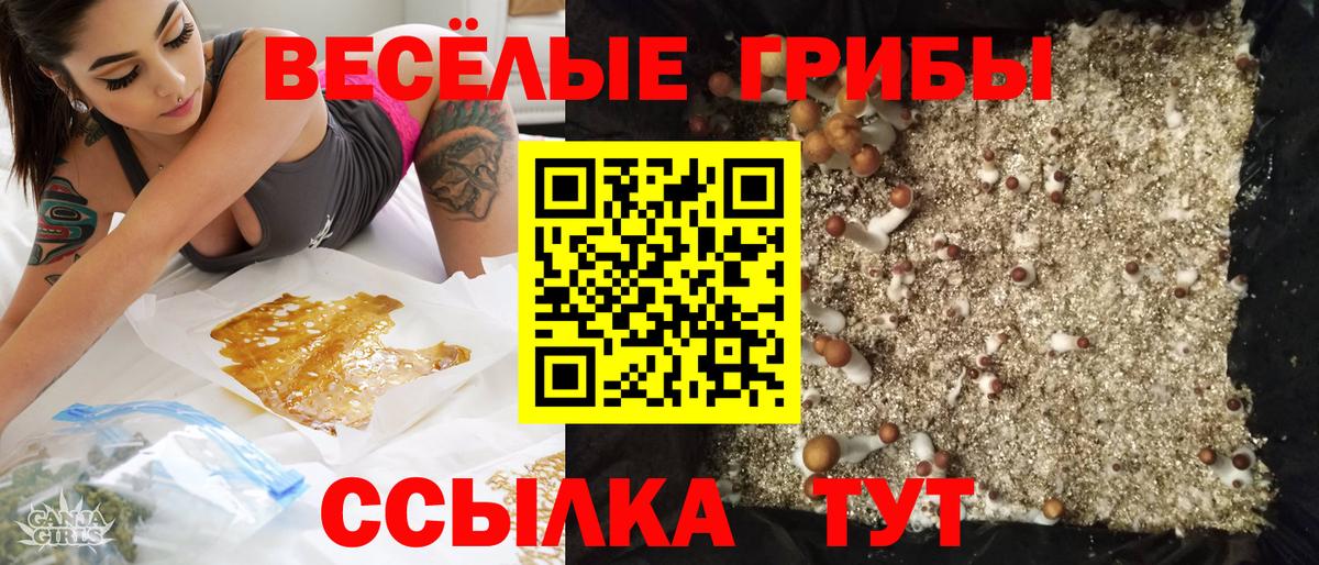 Псилоцибиновые грибы Magic Shrooms  Вход с VPN  Усть-Джегута 
