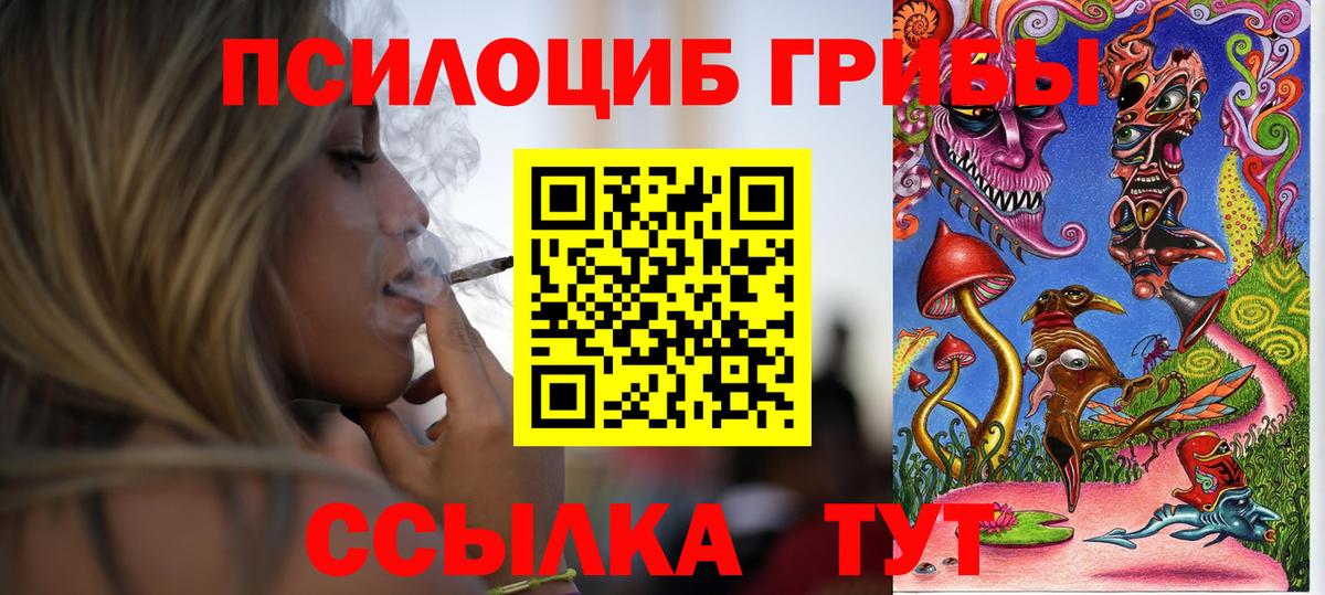Псилоцибиновые грибы прущие грибы Усть-Джегута